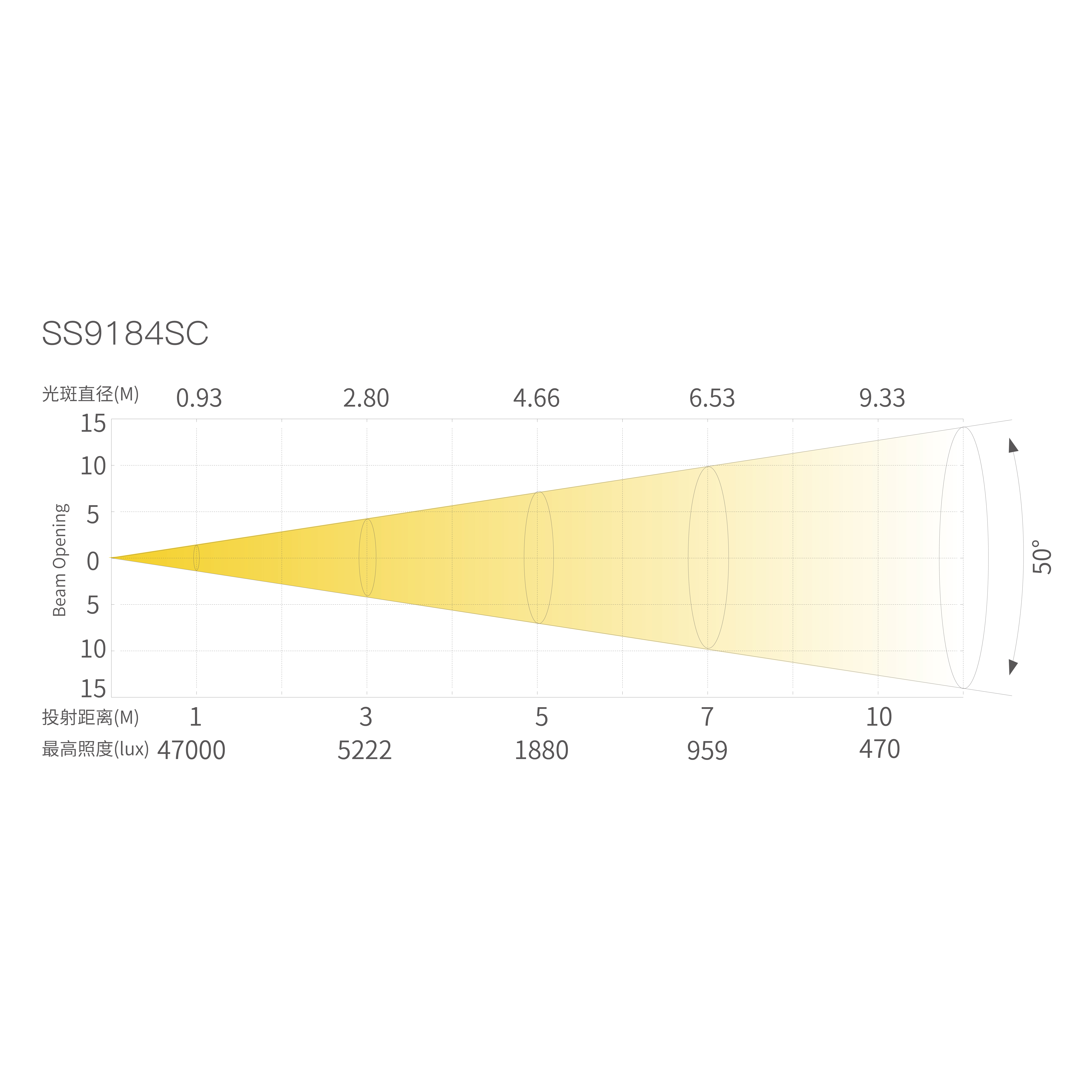 T10_画板 1 副本 7